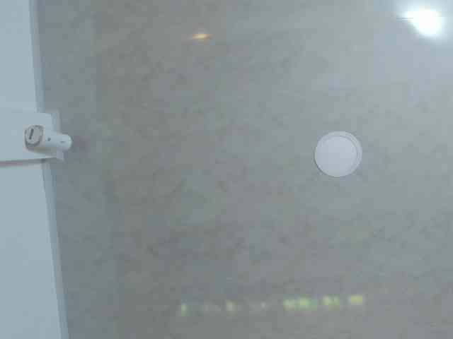 milagrace1 webcam