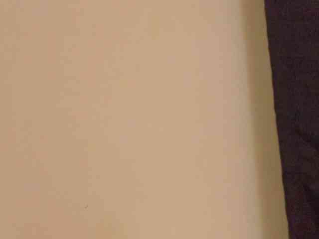 milagrace1 webcam