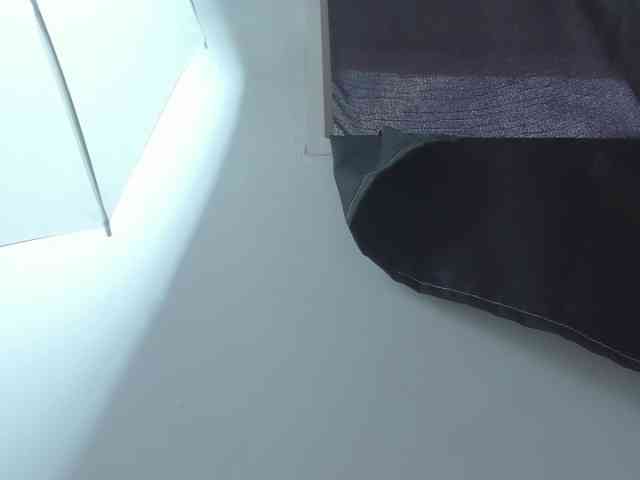 milagrace1 webcam