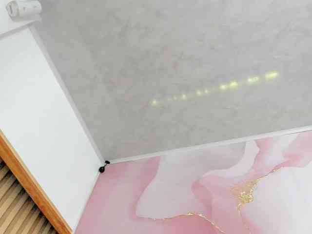 milagrace1 webcam