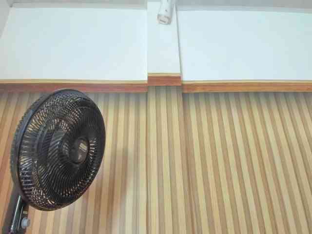 milagrace1 webcam