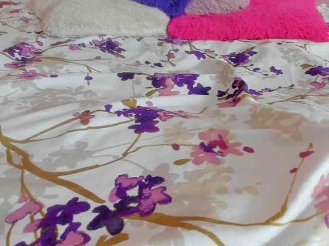 milagrace1 webcam