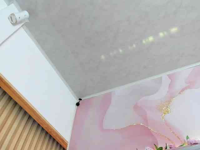 milagrace1 webcam
