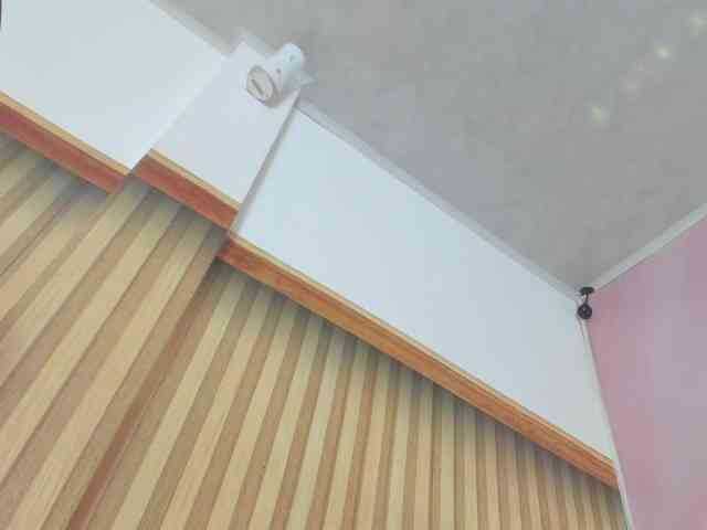 milagrace1 webcam