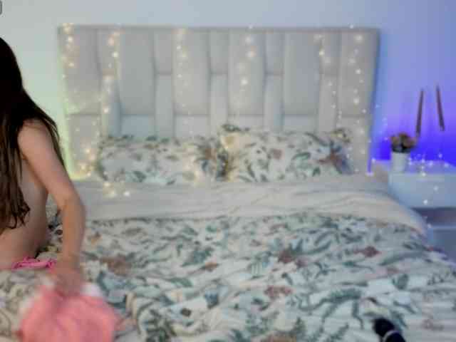 Little-kitticat webcam