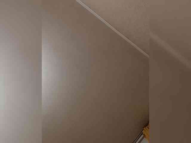Ilona-9 webcam