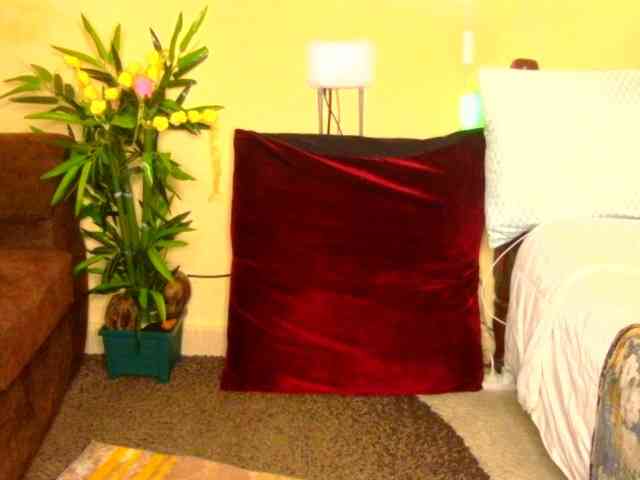Darktina webcam