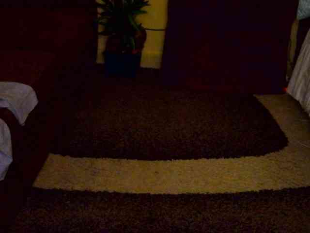 Darktina webcam