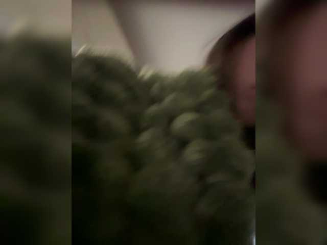 Alekseevna001 live cam