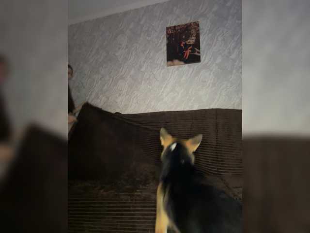 Alekseevna001 live cam preview