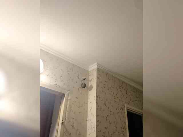 korolevaaa11 webcam