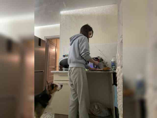 Alekseevna001 webcam