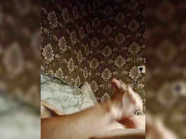TheRealDaVinciXxxl