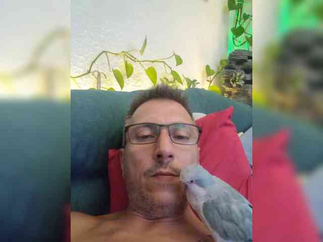 ToolPaar webcam