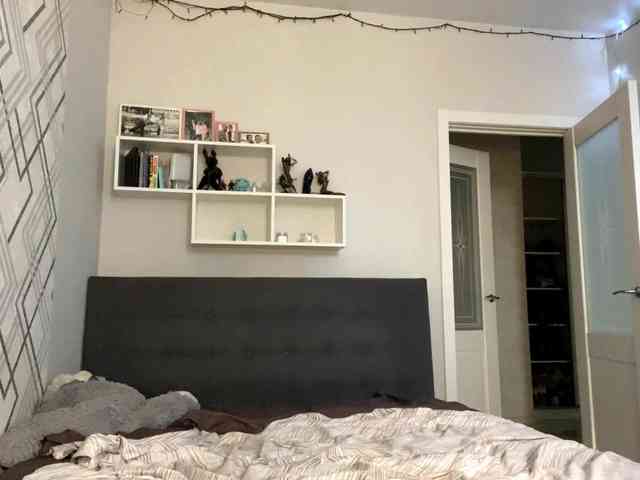 RosyCrisper webcam