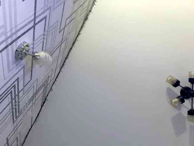 RosyCrisper webcam