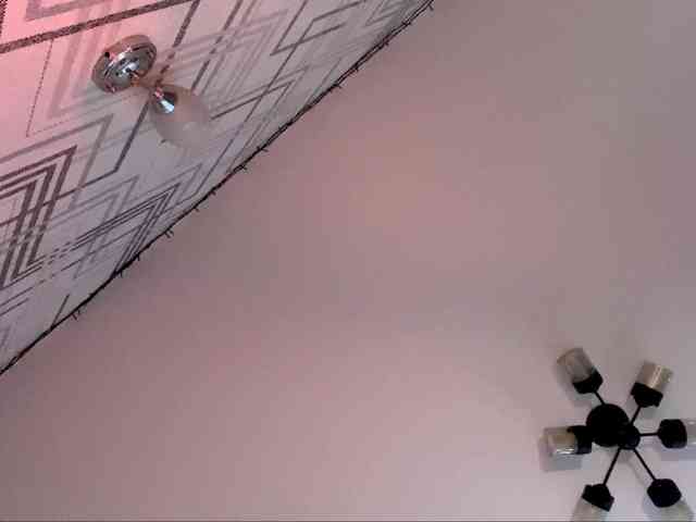 RosyCrisper webcam