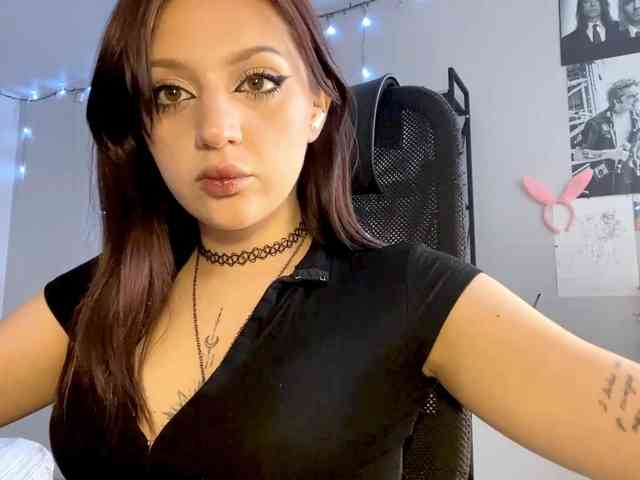 RosyCrisper webcam