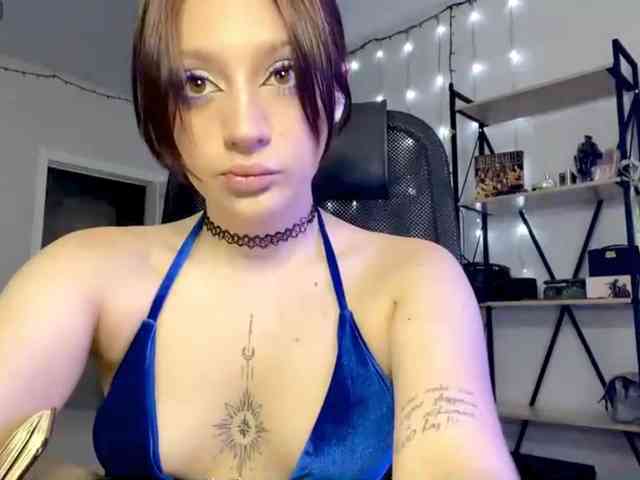 RosyCrisper webcam