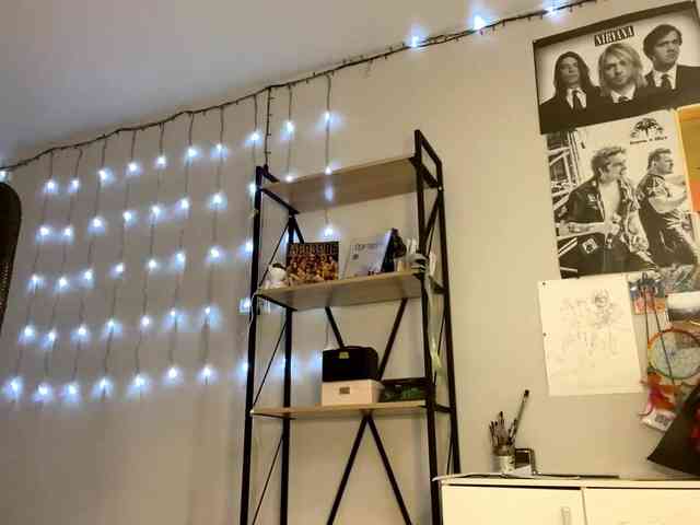 RosyCrisper webcam
