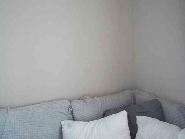 OliviaKim webcam