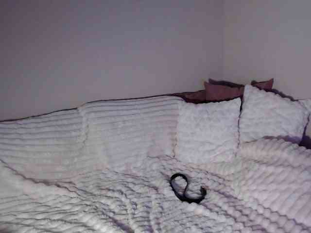 OliviaKim webcam