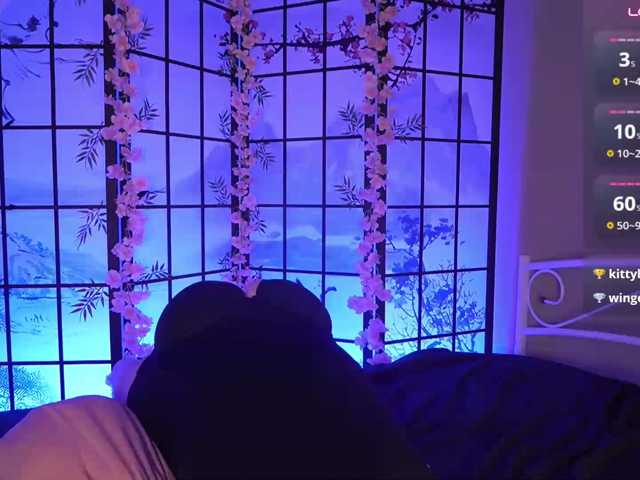 DriveThruAmina live cam on BongaCams