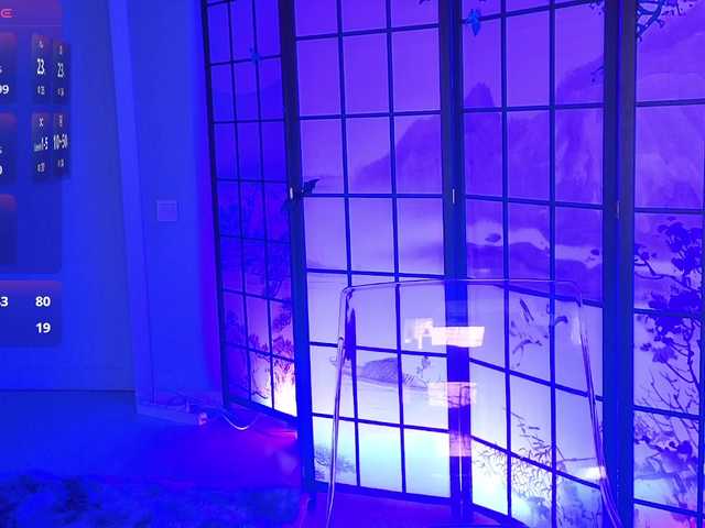 DriveThruAmina live cam on BongaCams