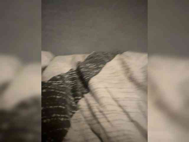 Annet7 webcam