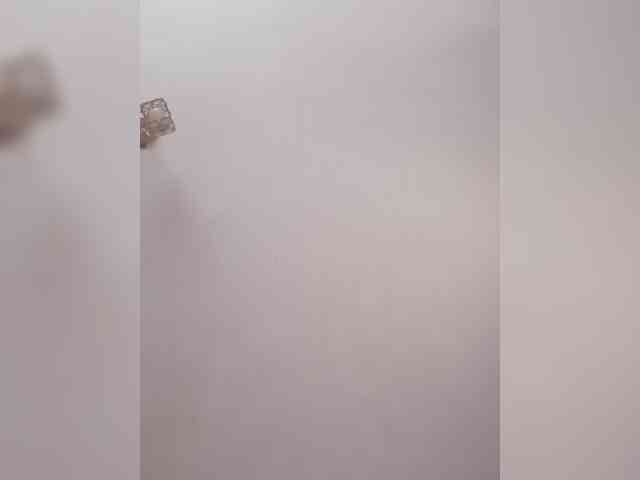 Gallina1999 Live Webcam on BongaCams