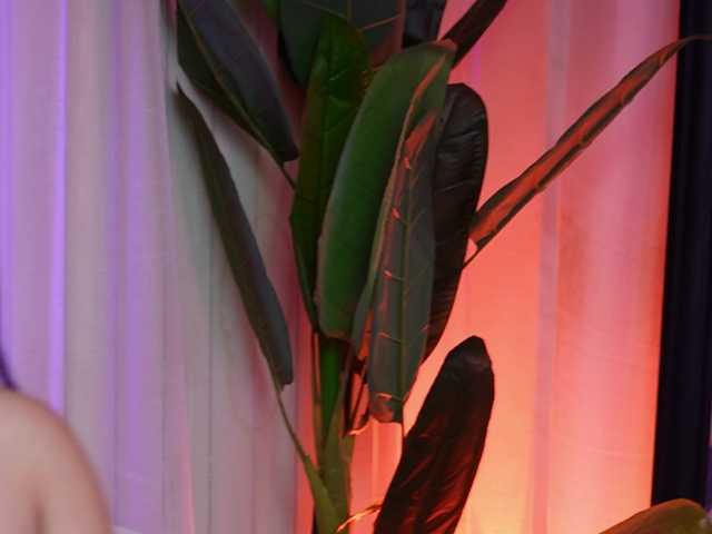 MaeveSun live cam on BongaCams