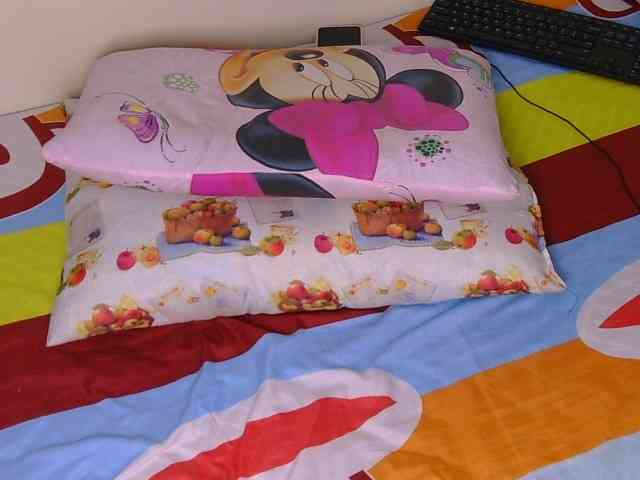 Queendotty