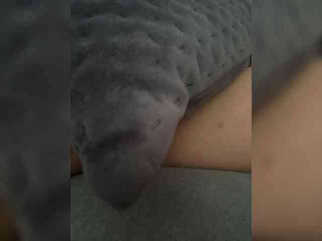 Leoviber