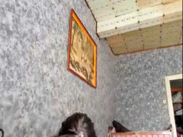 Evacrazys live cam on BongaCams
