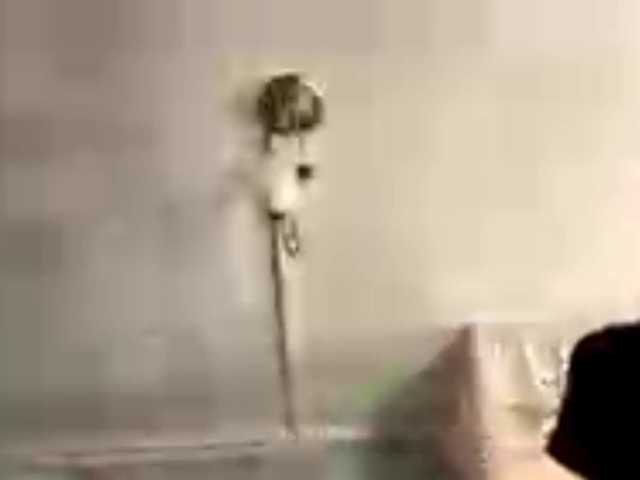 Evacrazys live cam on BongaCams
