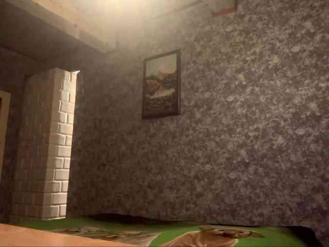Evacrazys webcam