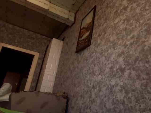 Evacrazys webcam