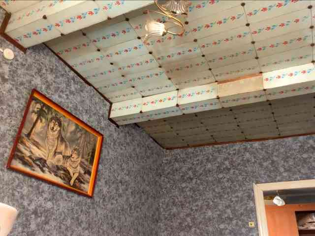 Evacrazys webcam