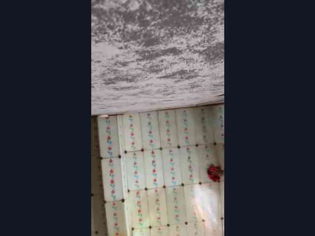 Evacrazys webcam