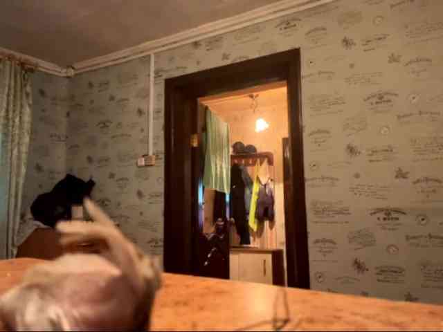 Evacrazys webcam