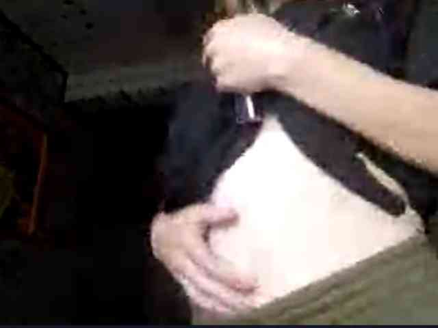 Evacrazys webcam