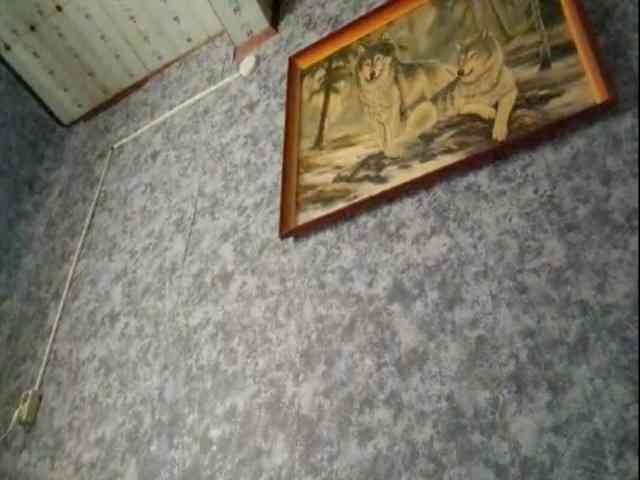 Evacrazys webcam