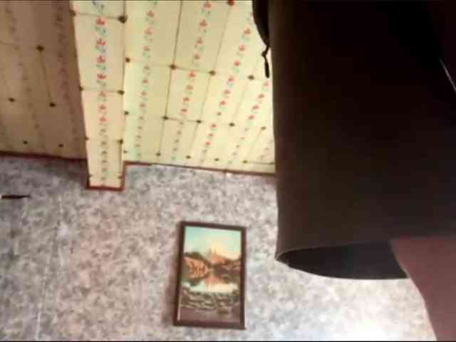 Evacrazys webcam