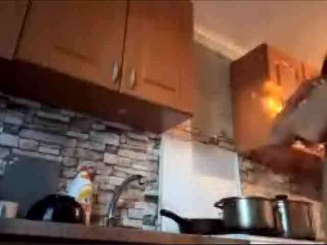 Evacrazys webcam