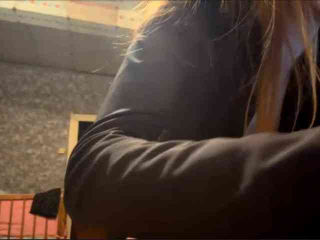 Evacrazys webcam