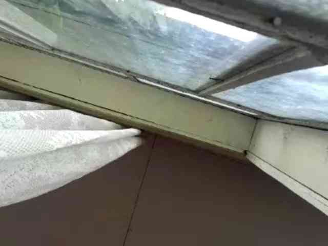 Evacrazys webcam