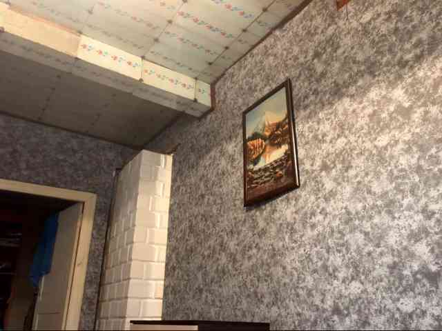 Evacrazys webcam