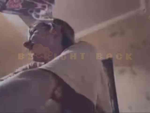 Evacrazys webcam