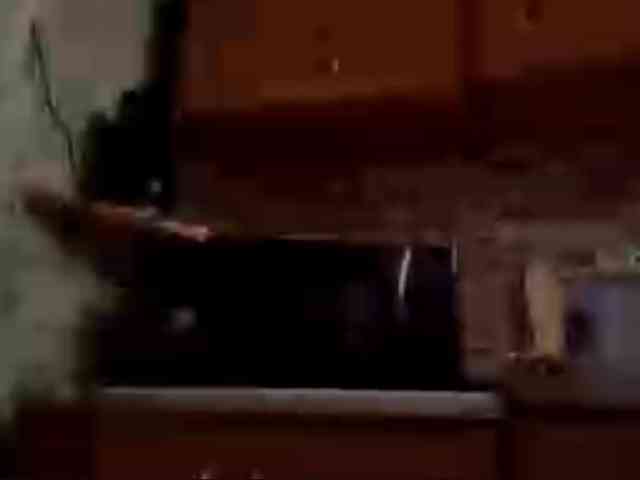Evacrazys webcam