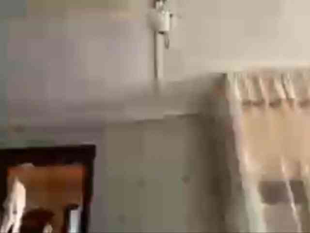 Evacrazys webcam
